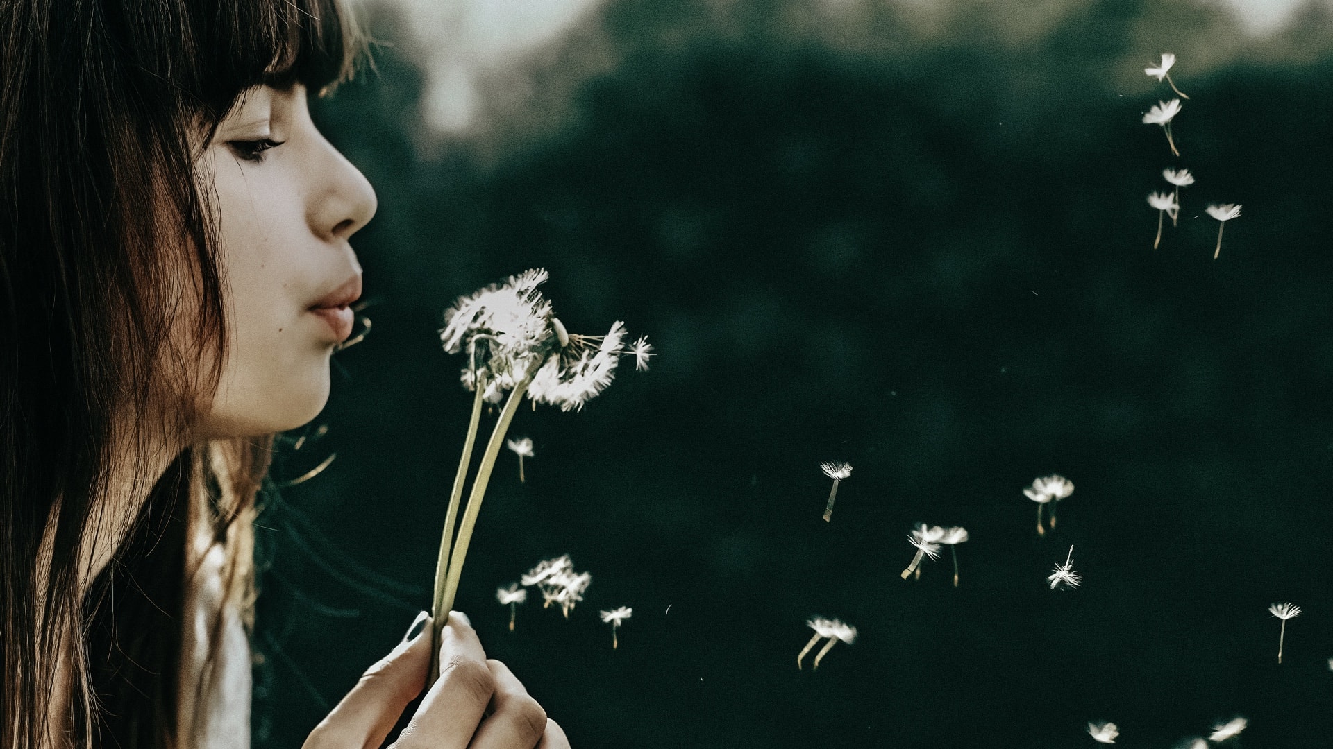 Kafeaterra-Governance & Responsibility