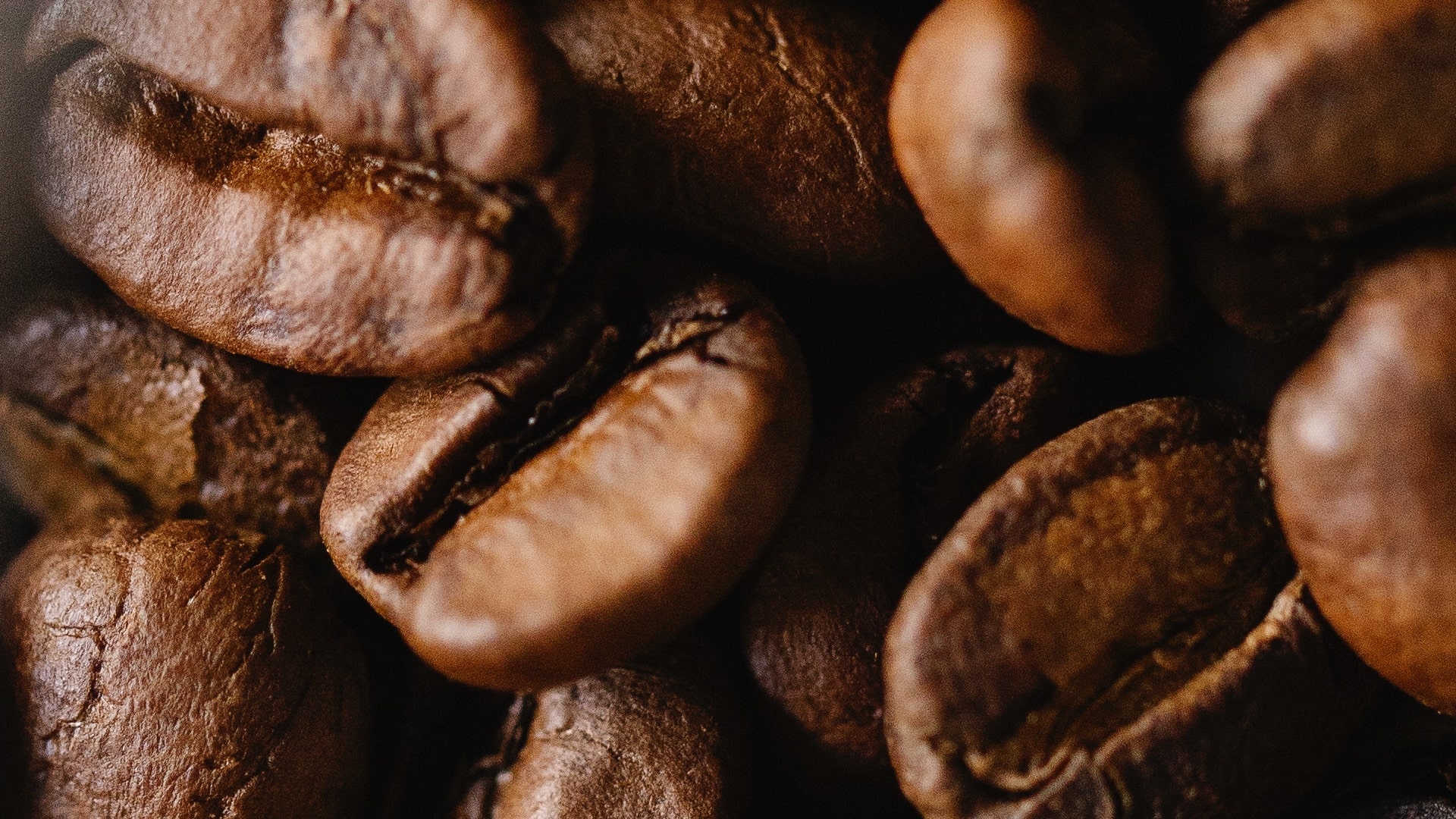 Kafeaterra-Coffee Partners